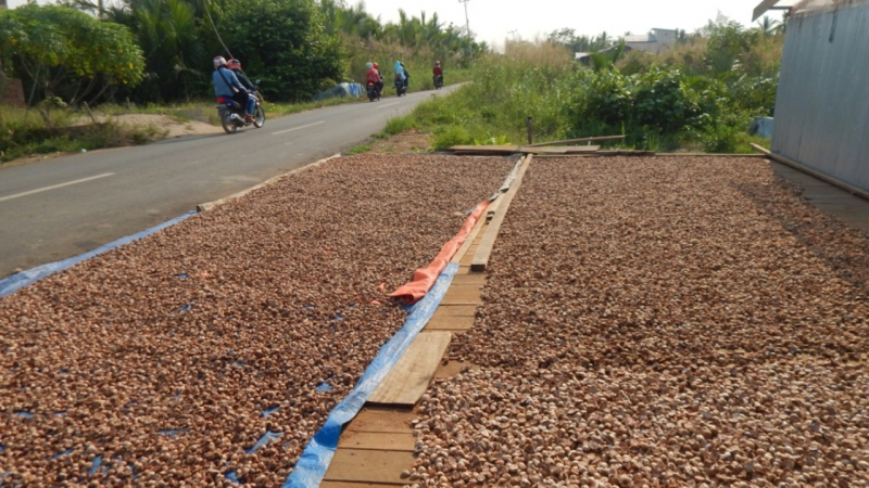 Salah satu tempat penampungan pinang di Kecamatan Kuala Jambi