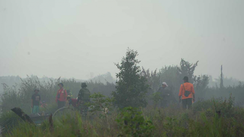 Satgas Karhutla Provinsi Jambi saat memadamkan api di lahan gambut seluas sekitar 6 hektare di Desa Rantau Panjang, Kecamatan Kumpeh, Kabupaten Muaro Jambi.