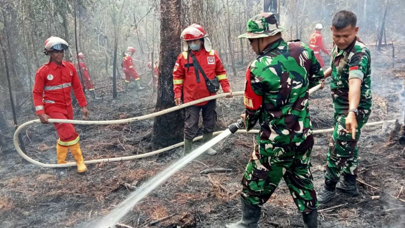 Petugas saat melakukan pemadaman api akibat kebakaran hutan dan lahan