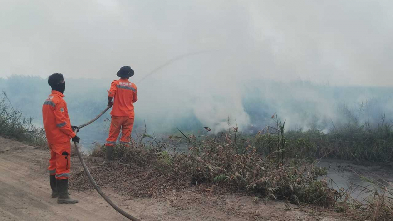 Tim gabungan saat melakukan pemadaman dan pendinginan lahan yang terbakar di Desa Rantau Rasau Desa, Kecamatan Berbak
