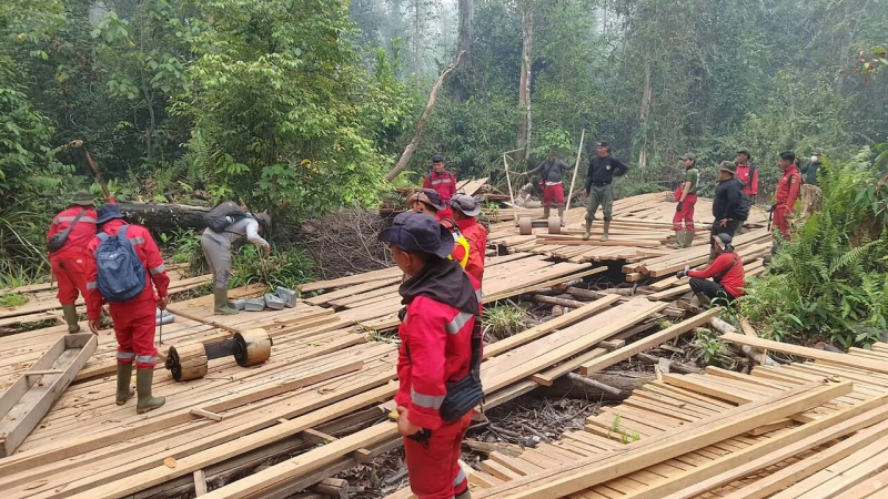 Sejumlah personel Satgas Posko Siaga Karhutla Kementerian Kehutanan Provinsi Jambi berada di lokasi temuan kayu olahan di kawasan TNBS. Temuan tersebut bermula saat petugas melakukan pemadaman kebakaran hutan dan lahan (karhutla).